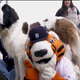 Illustration for article titled These Poor Dogs Had To Watch 11 Innings Of Tigers-Marlins Baseball On A Chilly Tuesday Night